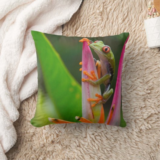 コスタリカ,アカガエル クッション (ブランケット)