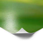 コスタリカ，アカガエル フォトプリント            (角)