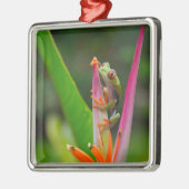 コスタリカ,アカガエル メタルオーナメント (左)