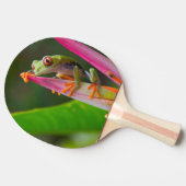コスタリカ，アカガエル 卓球ラケット (横)