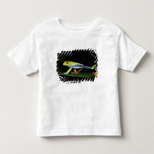 コスタリカ，アカガエル(Agalychnis) トドラーTシャツ (正面)
