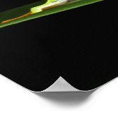 コスタリカ，アカガエル(Agalychnis) ポスター (角)