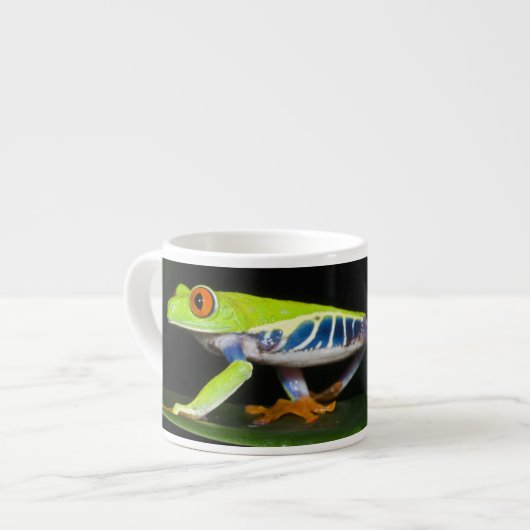 コスタリカ アカメアマガエル (アガリクニス) エスプレッソカップ (正面左)