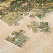 コスタリカ、アラアンギウア、素晴らしグリーンマカオ。 ジグソーパズル (側面)