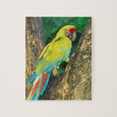 コスタリカ、アラアンギウア、素晴らしグリーンマカオ。 ジグソーパズル (縦)