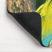 コスタリカ、アラアンギウア、素晴らしグリーンマカオ。 マウスパッド (コーナー)