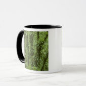 コスタリカ、アレナル国立公園、熱帯雨林 マグカップ (正面左)