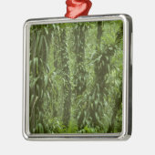 コスタリカ、アレナル国立公園、熱帯雨林 メタルオーナメント (左)