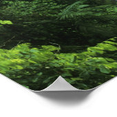 コスタリカ、アレナル火山エリア、ぶら下がったの橋 ポスター (角)