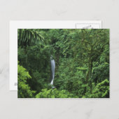 コスタリカ、アレナル火山エリア、ぶら下がったの橋 ポストカード (正面/裏面)