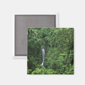 コスタリカ、アレナル火山エリア、ぶら下がったの橋 マグネット (正面/裏面)