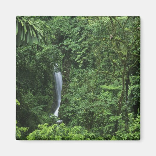 コスタリカ、アレナル火山エリア、ぶら下がったの橋 マグネット (正面)