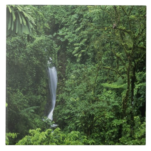 コスタリカ、アレナル火山地ぶら下がった域、橋 タイル (正面)