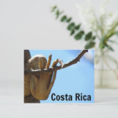 コスタリカ・イグアナお土産はがき ポストカード (スタンド正面)