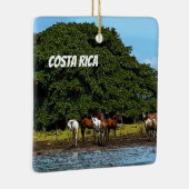 コスタリカ – ウマ・バイ・ザ・ウォーター セラミックオーナメント (右)