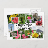 コスタリカ・エス・プラ・ヴィダ！ ポストカード (正面/裏面)
