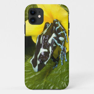 コスタリカ、オサ半島 iPhone 11 ケース