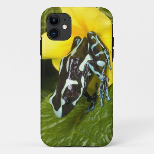 コスタリカ、オサ半島 Case-Mate iPhoneケース (裏面)