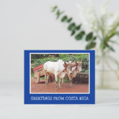 コスタリカ/オックカートとオキサンからの挨拶 ポストカード (スタンド正面)