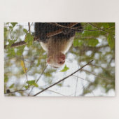 コスタリカ・カプチン・モンキー ジグソーパズル (横)