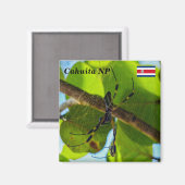 コスタリカ，カホイタNP – ゴールデンオルブスパイダー マグネット (正面/裏面)