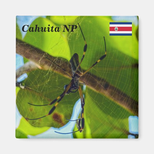 コスタリカ，カホイタNP – ゴールデンオルブスパイダー マグネット (正面)