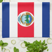 コスタリカ キッチンタオル (折り畳み)