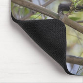 コスタリカ，グアナカステ，白い顔のカプチン マウスパッド (コーナー)