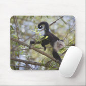 コスタリカ，グアナカステ，白い顔のカプチン マウスパッド (マウス)