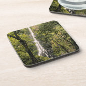 コスタリカ、ココス島、ウェハベイ·ウォーターフォール コースター (左側)