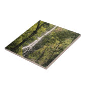 コスタリカ、ココス島、ウェハベイ·ウォーターフォール タイル (側面)