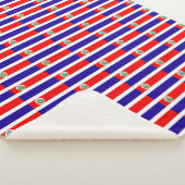 コスタリカ シェルパブランケット (3/4)