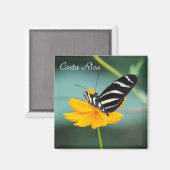 コスタリカ – ゼブラ蝶 マグネット (正面/裏面)