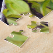 コスタリカ，トルトゥゲロ – アンヒンガ ジグソーパズル (側面)