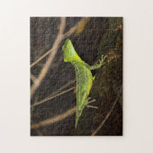 コスタリカ,トルトゥゲロ – エメラルドバシリスクLizard ジグソーパズル (縦)