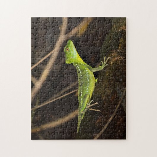 コスタリカ,トルトゥゲロ – エメラルドバシリスクLizard ジグソーパズル (縦)