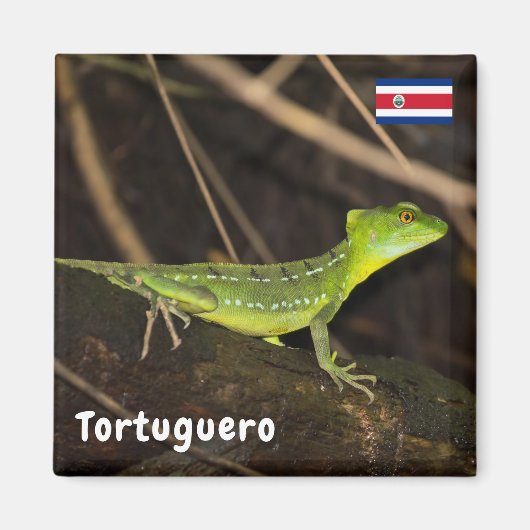 コスタリカ，トルトゥゲロ – エメラルドバシリスクLizard マグネット (正面)