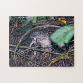 コスタリカ,トルトゥゲロ – オター食べーの魚 ジグソーパズル