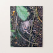 コスタリカ,トルトゥゲロ – オター食べーの魚 ジグソーパズル (縦)