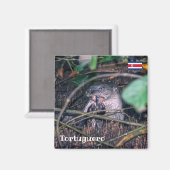 コスタリカ、トルトゥゲロ、オッター食べ物·の魚 マグネット (正面/裏面)