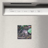 コスタリカ、トルトゥゲロ、オッター食べ物·の魚 マグネット (インサイチュ (食洗機))