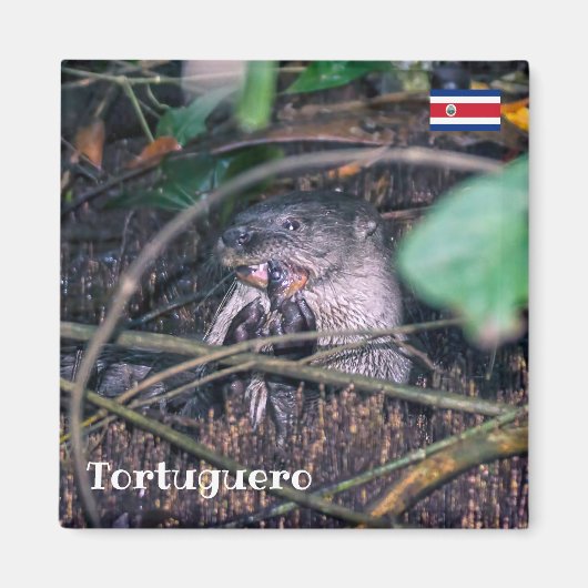 コスタリカ、トルトゥゲロ、オッター食べ物·の魚 マグネット (正面)