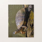 コスタリカ,トルトゥゲロ – カートルリバー ジグソーパズル (縦)