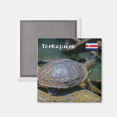 コスタリカ，トルトゥゲロ – カートルリバー マグネット (正面/裏面)