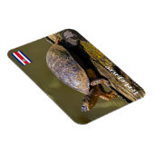 コスタリカ，トルトゥゲロ – カートルリバー マグネット (右側)