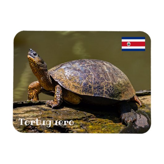 コスタリカ，トルトゥゲロ – カートルリバー マグネット (横)