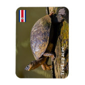 コスタリカ，トルトゥゲロ – カートルリバー マグネット (縦)