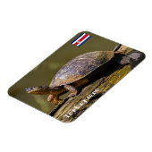 コスタリカ，トルトゥゲロ – カートルリバー マグネット (左側)