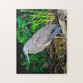 コスタリカ，トルトゥゲロ – ヘロン ジグソーパズル (縦)