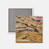 コスタリカ，トルトゥゲロ – ベビーワニ マグネット (正面/裏面)